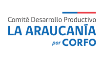 2024_ComiteCorfoARAUCANIA_Color