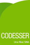 LOGO CODESSER NUEVO Tamaño real